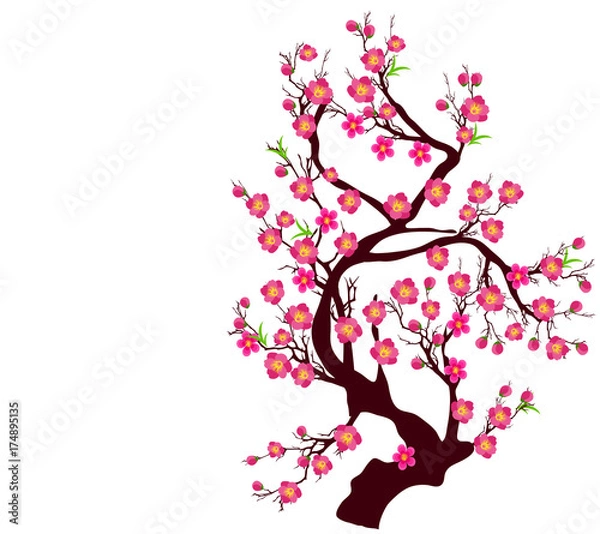Fototapeta Vector Cherry blossom for Chinese New Year and lunar new year