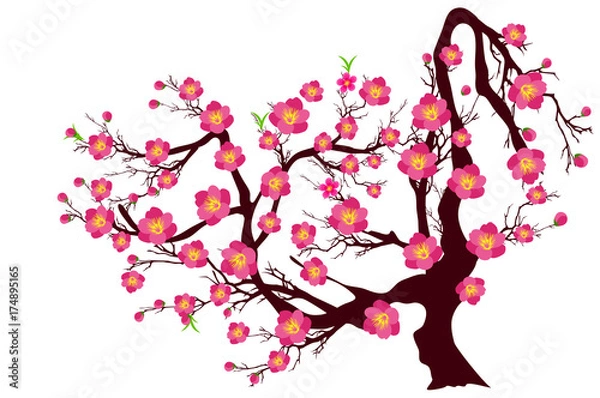 Fototapeta Vector Cherry blossom for Chinese New Year and lunar new year