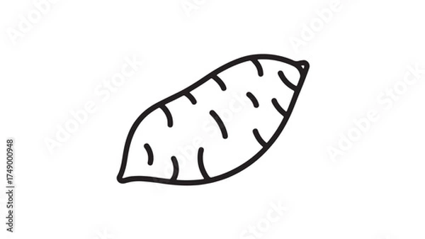 Obraz Simple outline illustration of a sweet potato on a white background