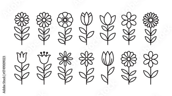 Fototapeta Collection of simple line art flowers in a variety of styles