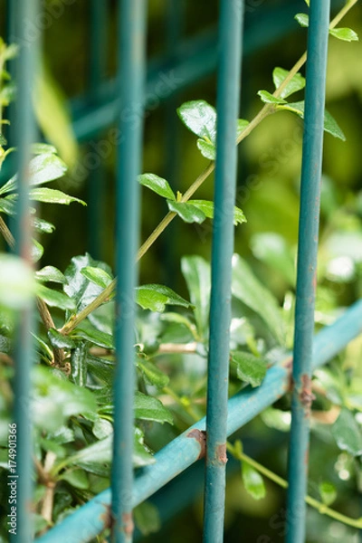 Obraz Steel panel and lock 