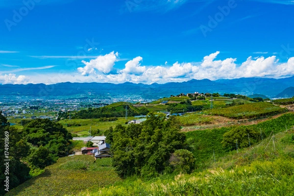Fototapeta 山梨県勝沼ぶどうの丘