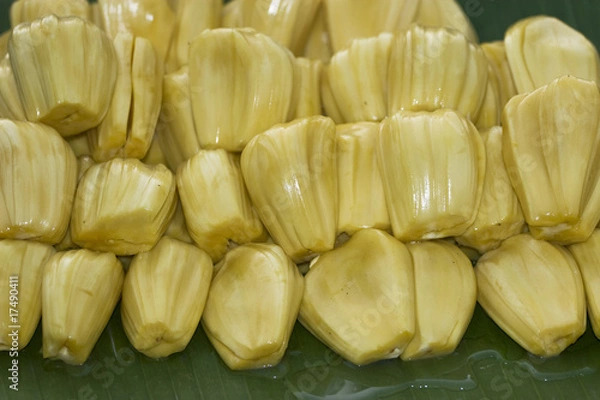Obraz Jackfruit