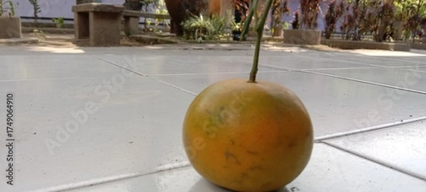 Obraz The image depicts a yellowish-orange orange with a few green spots. The fruit is placed on a smooth, clean gray floor. In the background, a garden area with green trees and a park bench appears, creat