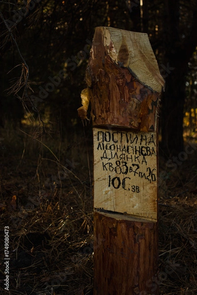 Obraz The plaque is made of wood.