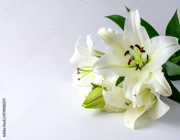 Obraz 白い背景に白いユリの花束のクローズアップ