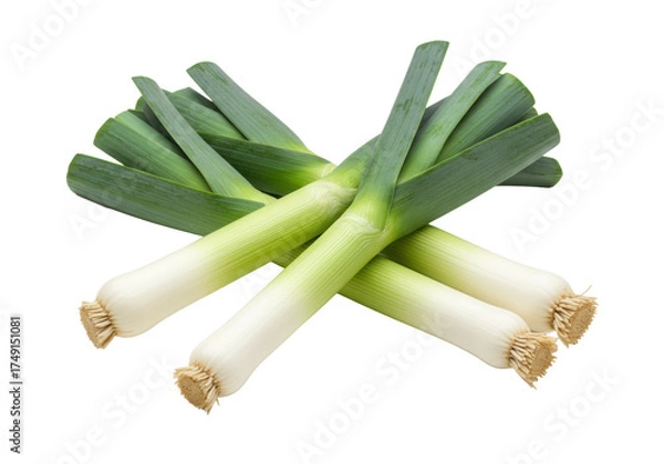 Fototapeta Pristine, vibrant leeks with bright white bulbs and deep green stalks, artfully arranged diagonally on a transparent background with copy space, shadowless studio lighting. Concept of fresh healthy