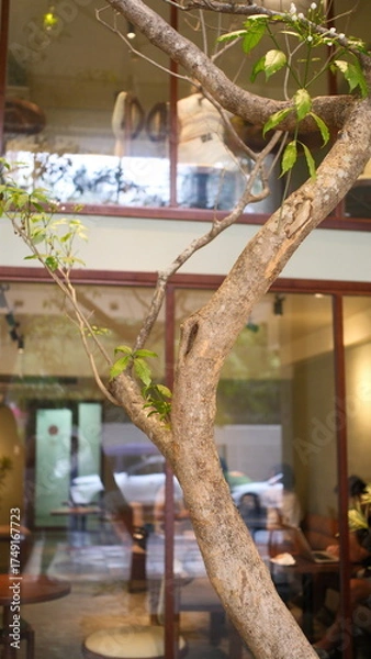 Obraz bird on a tree