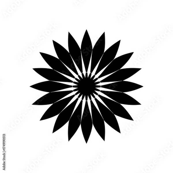 Fototapeta Black flower with pointed petals art on transparent background silhouette