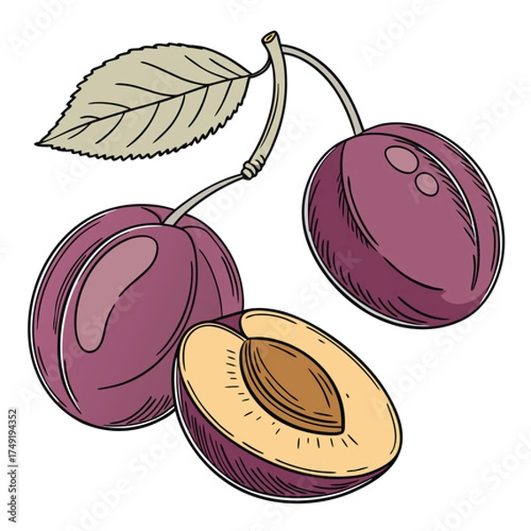 Fototapeta Two whole plums and one halved plum with leaf fruit 1