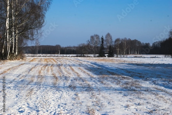 Obraz ośnieżone pole