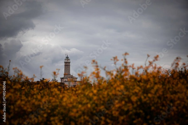 Obraz Overcast sky above the historic Faro de Cabo Mayor lighthouse partially obscured by vibrant orange wildflowers in a moody natural landscape setting