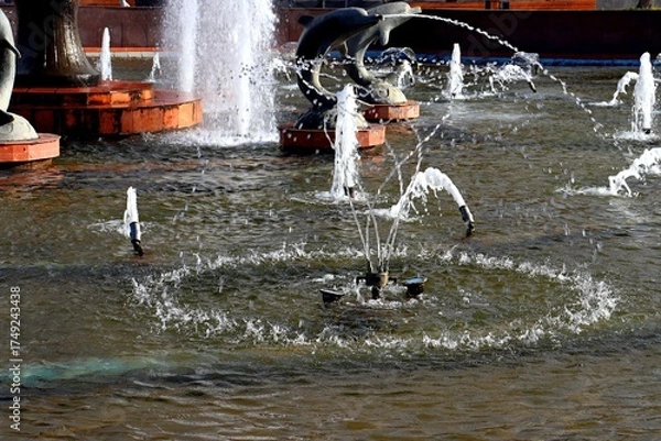 Obraz fountain in the park