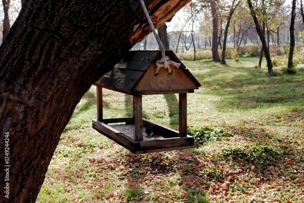 Obraz swing in the park