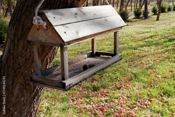 Obraz old wooden swing