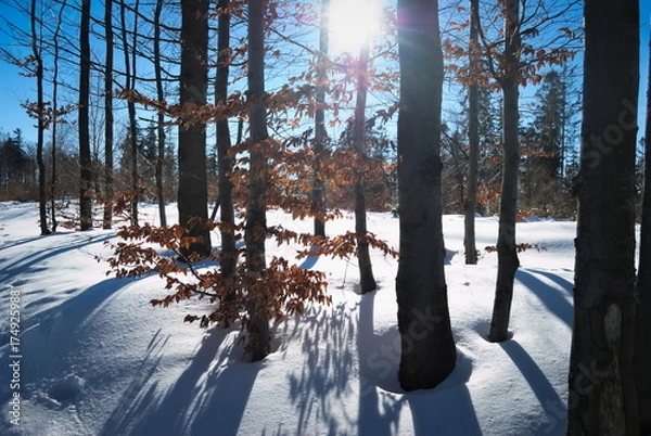 Obraz Beskidy zimowe