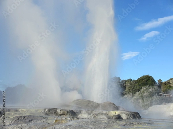 Fototapeta ロトルア、間欠泉、ニュージーランド