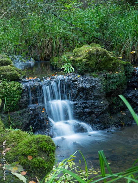 Obraz Peasholm Glen