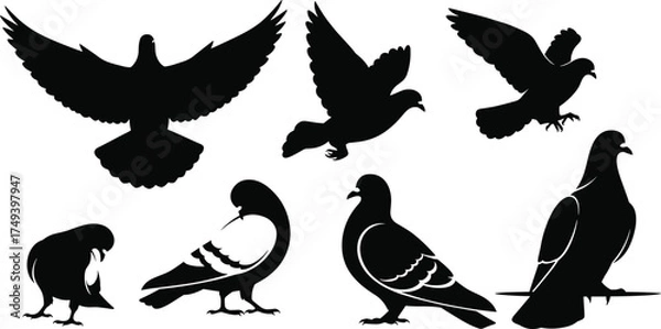 Obraz Black pigeon bird silhouettes in flight and perched positions, detailed vector illustration set showing various poses for wildlife, nature, urban themes