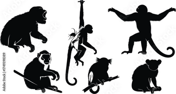 Obraz Black monkey silhouettes set with various poses, sitting, climbing, hanging, standing, animal vector illustration collection for wildlife design themes