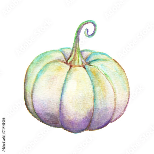 Obraz Pumpkin Isolated on white background. Hand drawn pumpkin Watercolor. Vegetables, harvest, colored botanical illustration.