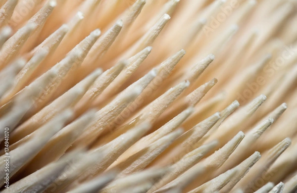 Fototapeta wooden toothpick macro