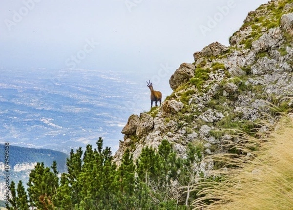 Fototapeta National park of Majella, Italy - Mountain summits in the Majella range, central Italy, Abruzzo region, with characteristic landscape of rocky expanses between valleys and plateaus.