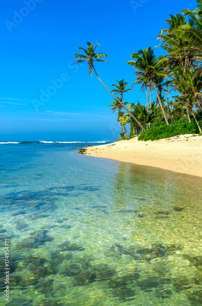 Fototapeta Tropical beach in Sri Lanka