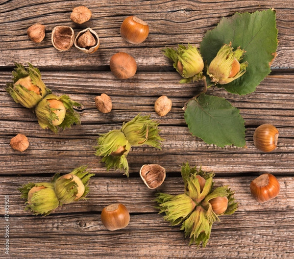 Fototapeta Ripe delicious filberts