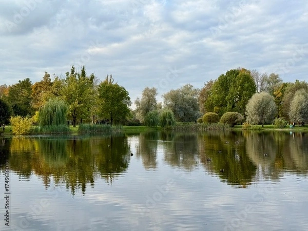 Fototapeta autumn trees reflection on the blue lake surface, autumn lake in the park