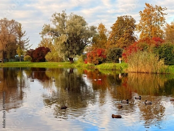 Fototapeta autumn trees reflection on the blue lake surface, autumn lake in the park