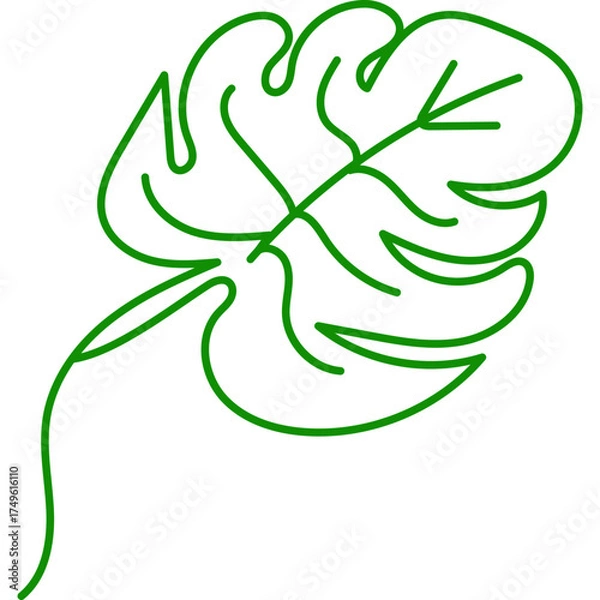 Fototapeta Monstera Leaf Line