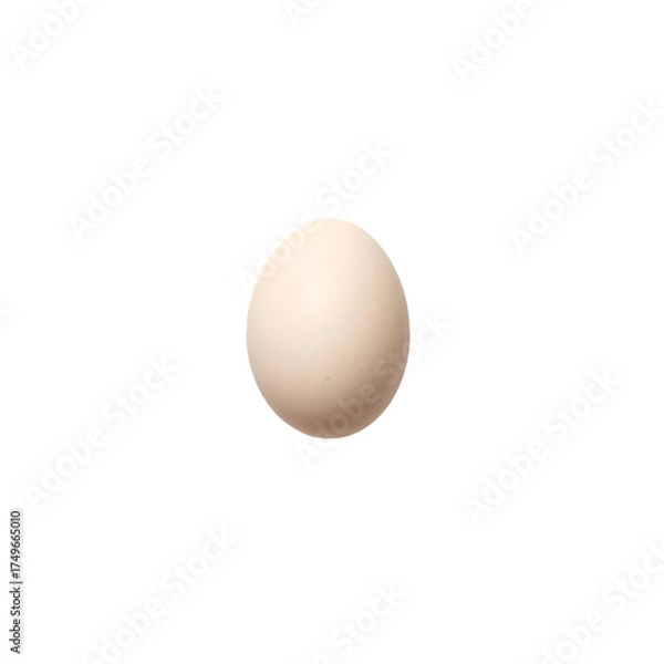 Obraz egg on white background