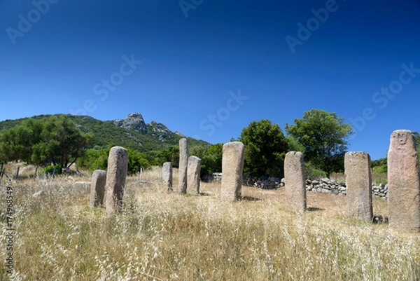 Fototapeta The menhirs alignment of Stantari, in the megalithic site of Cauria, Sartene area, Corsica, France
