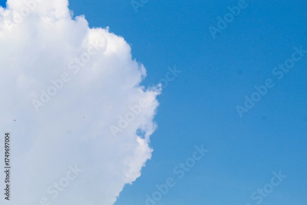 Fototapeta Fluffy white clouds floating under blue sky