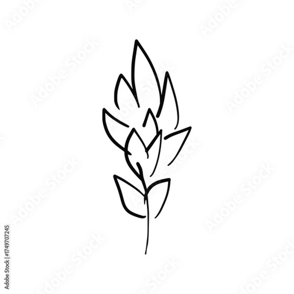 Fototapeta Hand drawn floral compositions in line art style. Elegant frame of flowers, stems and leaves. Trendy botanical elements. Vector illustration for logo or tattoo, save the date card, wedding invitation