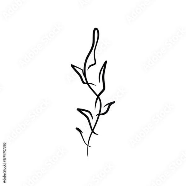 Fototapeta Hand drawn floral compositions in line art style. Elegant frame of flowers, stems and leaves. Trendy botanical elements. Vector illustration for logo or tattoo, save the date card, wedding invitation
