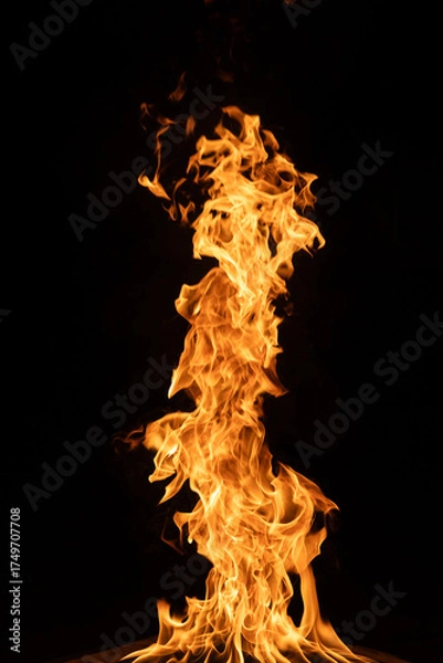 Obraz Fire and flame