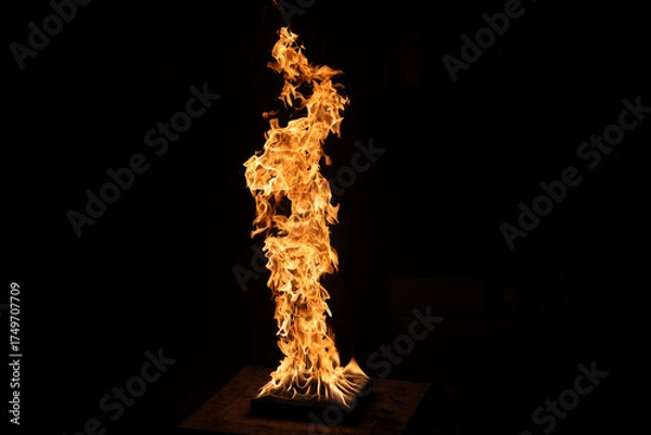 Obraz Fire and flame