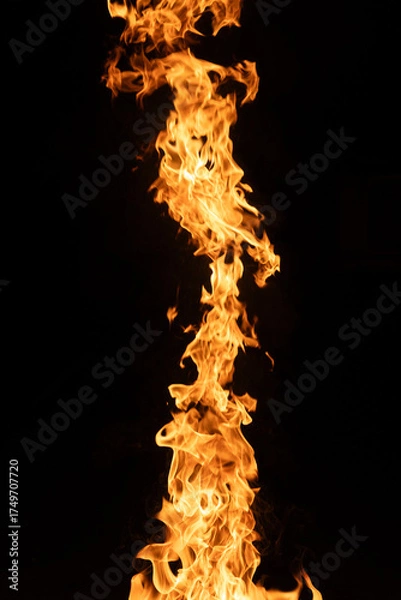 Obraz Fire and flame