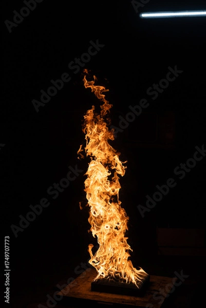 Obraz Fire and flame