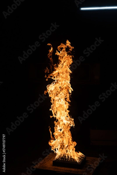 Obraz Fire and flame