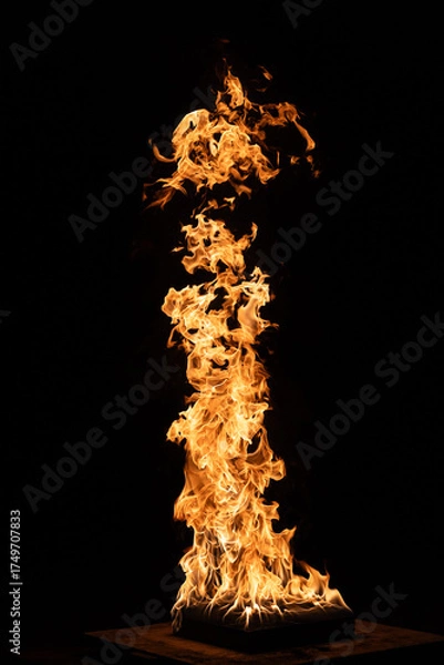 Obraz Fire and flame