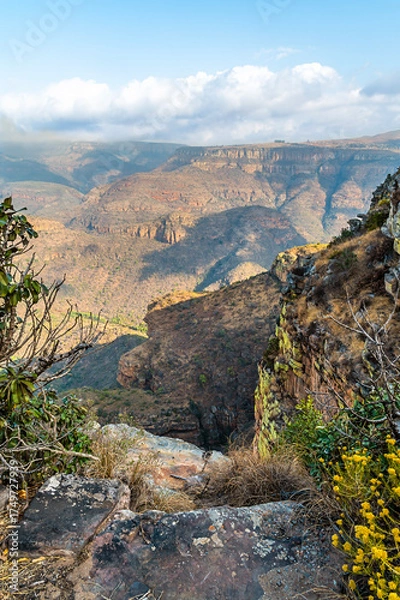 Fototapeta A view down from rocky side into  Blyde River Canyon,  Mpumalanga, South Africa in Springtime