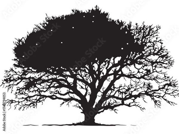Fototapeta Elegant Starlight Tree 2D Vector Line Art Drawing