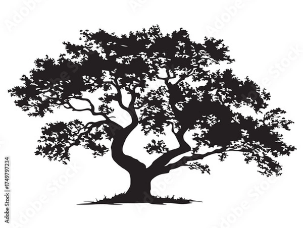 Obraz Magical Sylvan Spirit Tree Silhouette 2D Vector Line Art Drawing  