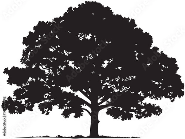 Obraz Strong and Towering Tallwood Tree in Minimal 2D Vector Line Art  
