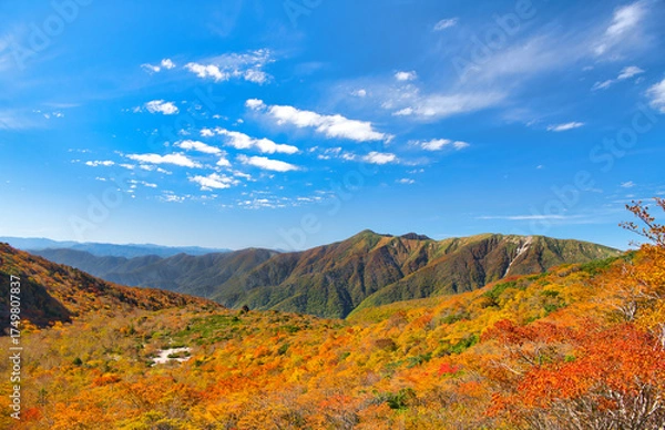 Fototapeta 栃木県那須町　秋の紅葉に染まる茶臼岳から見る姥ヶ平