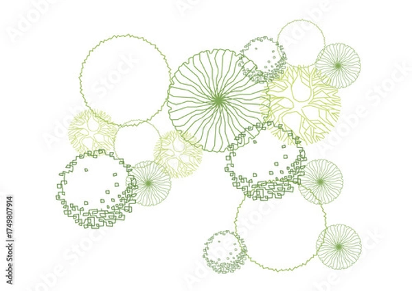 Obraz architecture drawing plant tree top view plan greenery vegetation vector. design nature architectural landscape set element illustration bush garden flora sapling minimal. architect isolated.