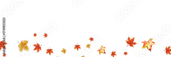 Fototapeta Colorful Autumn Leaves Wind — Orange and Red Maple Leaf Fall Transparent Background